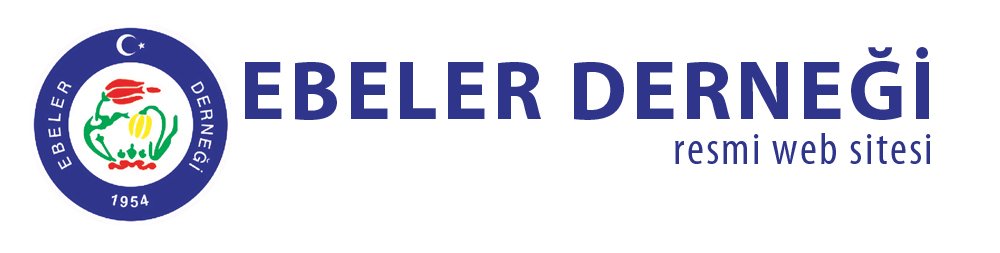 Türk Ebeler Derneği